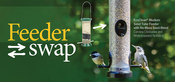Feeder Swap